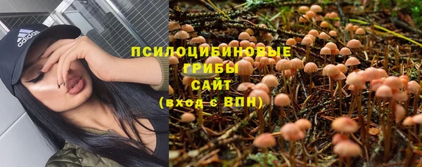 экстази Заводоуковск