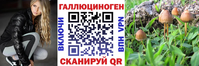 Купить где  Киреевск  Псилоцибиновые грибы MAGIC MUSHROOMS 